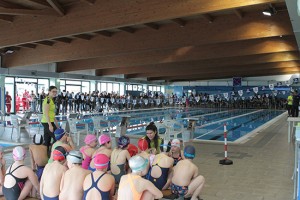 Sport - La prima edizione di "Nuoto in Corsa" a Grotte di Castro