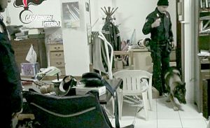 Operazione Bomber - Il blitz dei carabinieri