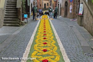 Canepina - I festeggiamenti in onore di Santa Corona
