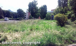 Viterbo - In totale abbandono il giardinetto della Grotticella
