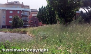 Viterbo - In totale abbandono il giardinetto della Grotticella