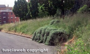 Viterbo - In totale abbandono il giardinetto della Grotticella
