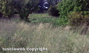 Viterbo - In totale abbandono il giardinetto della Grotticella
