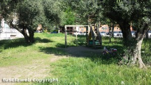 Viterbo - Erba alta in uno dei parchi a Santa Lucia