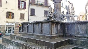 Viterbo - Doccia a Fontana Grande