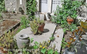 Viterbo - Le erbacce al cimitero di san Lazzaro 