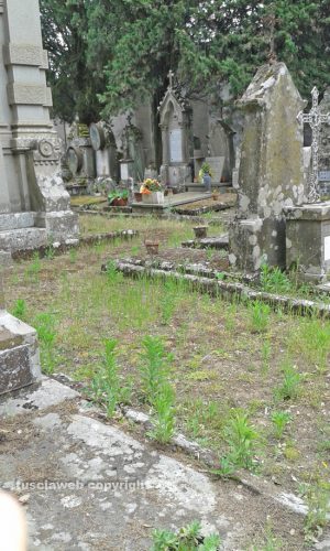 Viterbo - Le erbacce al cimitero di san Lazzaro 