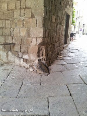 Viterbo - Il paracarro in via San Pellegrino