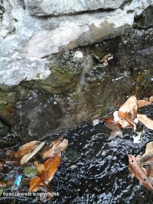 Viterbo - Perdita d'acqua in via di Parto Giardino