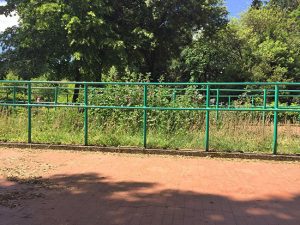 Viterbo - Pratogiardino Lucio Battisti nell'incuria