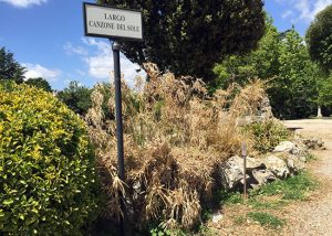 Viterbo - Pratogiardino Lucio Battisti nell'incuria