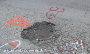 Vetralla - Buche sulla Cassia, è protesta degli uccelli non volanti