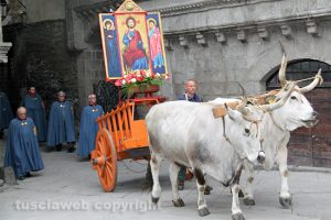 Viterbo - La processione del santissimo Salvatore