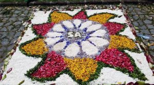 Vignanello - Festa del fiore