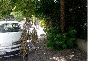 Viterbo - Il degrado nel quartiere di Santa Barbara 