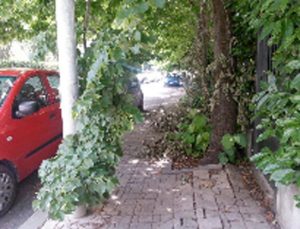 Viterbo - Il degrado nel quartiere di Santa Barbara 