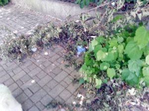 Viterbo - Il degrado nel quartiere di Santa Barbara 