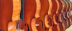 Violini