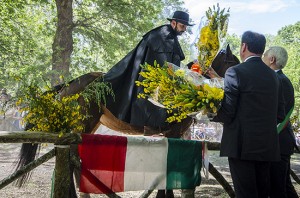 Vetralla - Sposalizio dell'albero