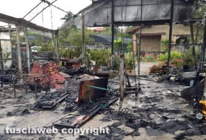 Viterbo - Incendio al vivaio Paparozzi