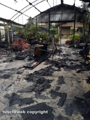Viterbo - Incendio al vivaio Paparozzi