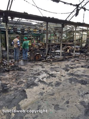 Viterbo - Incendio al vivaio Paparozzi