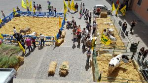 La fattoria in piazza di Coldiretti