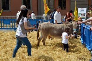 La fattoria in piazza di Coldiretti