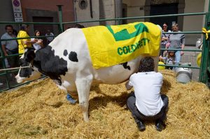 La fattoria in piazza di Coldiretti