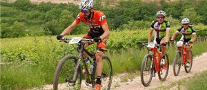 Sport - Mountain bike - Federico Priante