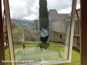 Il segno di un piccione che si è schiantato sulla finestra