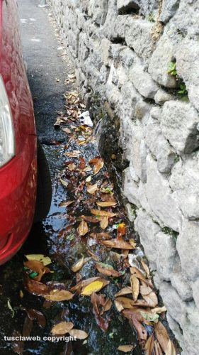 Viterbo - Perdita d'acqua dal muro in via Pratogiardino