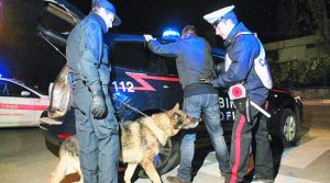 Carabinieri unità cinofile - Foto di repertorio