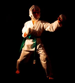 Un combattimento di karate