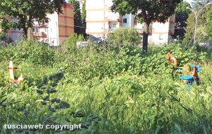 Viterbo - Erba alta nei giardinetti in via Rossini