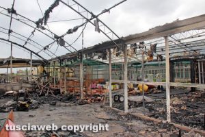 Viterbo - Incendio al vivaio Paparozzi