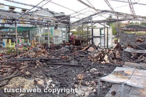 Viterbo - Incendio al vivaio Paparozzi