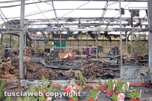Viterbo - Incendio al vivaio Paparozzi