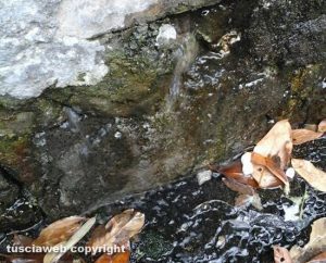 Viterbo - Perdita d'acqua in via di Parto Giardino