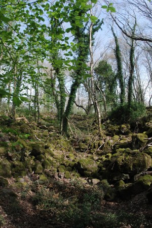 Selva del Lamone - L'anfiteatro lavico del cancellone 