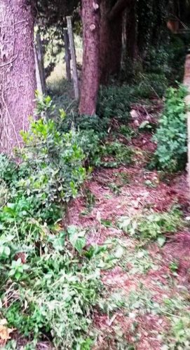 Viterbo - Bonificata la discarica in strada Capretta