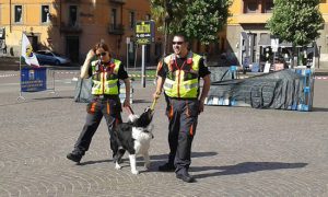 L'Unità cinofila da soccorso Viterbo spegne 5 candeline