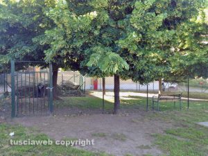 Viterbo - Il giardino della scuola dell'infanzia Radice