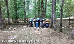 Viterbo - La pineta dei monti Cimini invasa dai rifiuti
