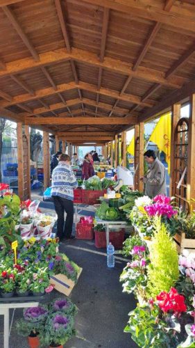 Viterbo - Il mercato di Campagna amica 