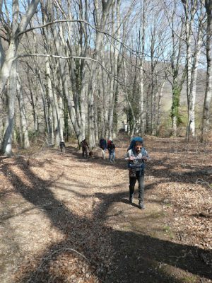 Via Francigena