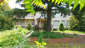Viterbo - Ex Terme Inps