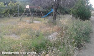 Viterbo - Erba alta al parco in via Cervino
