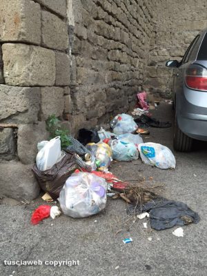 Viterbo - Via delle Fortezze - Un gatto morto in mezzo a un cumulo di immondizia