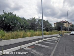 Viterbo - Erba alta in via Santa Maria dell'Elce
